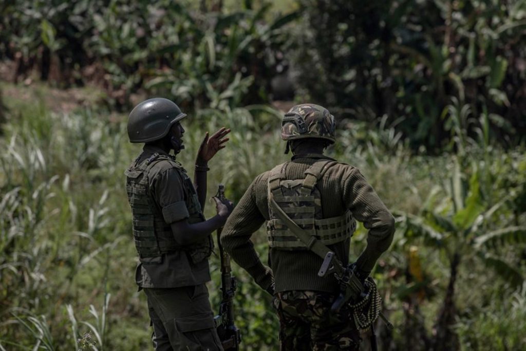 DRC: EU condemns Rwandan military presence, urges Kinshasa to stop supporting Rwandan rebels