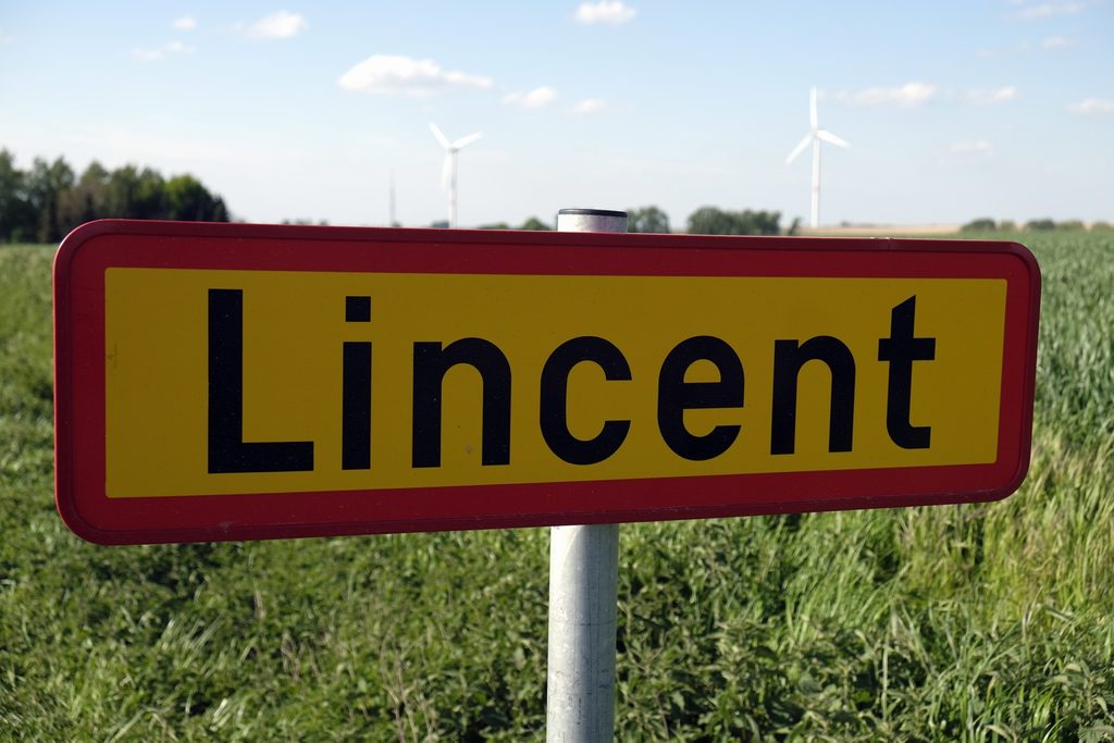 Some 200 pigs euthanised after lorry accident