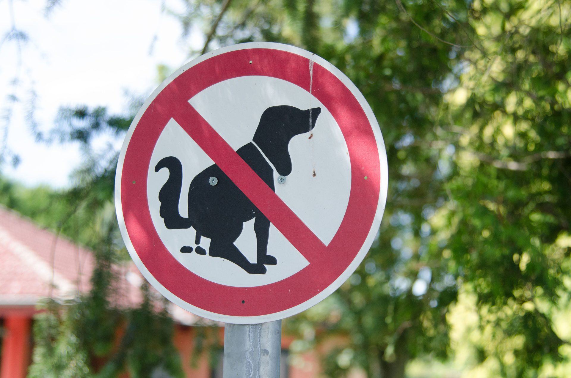 French city launches dog waste DNA database initiative