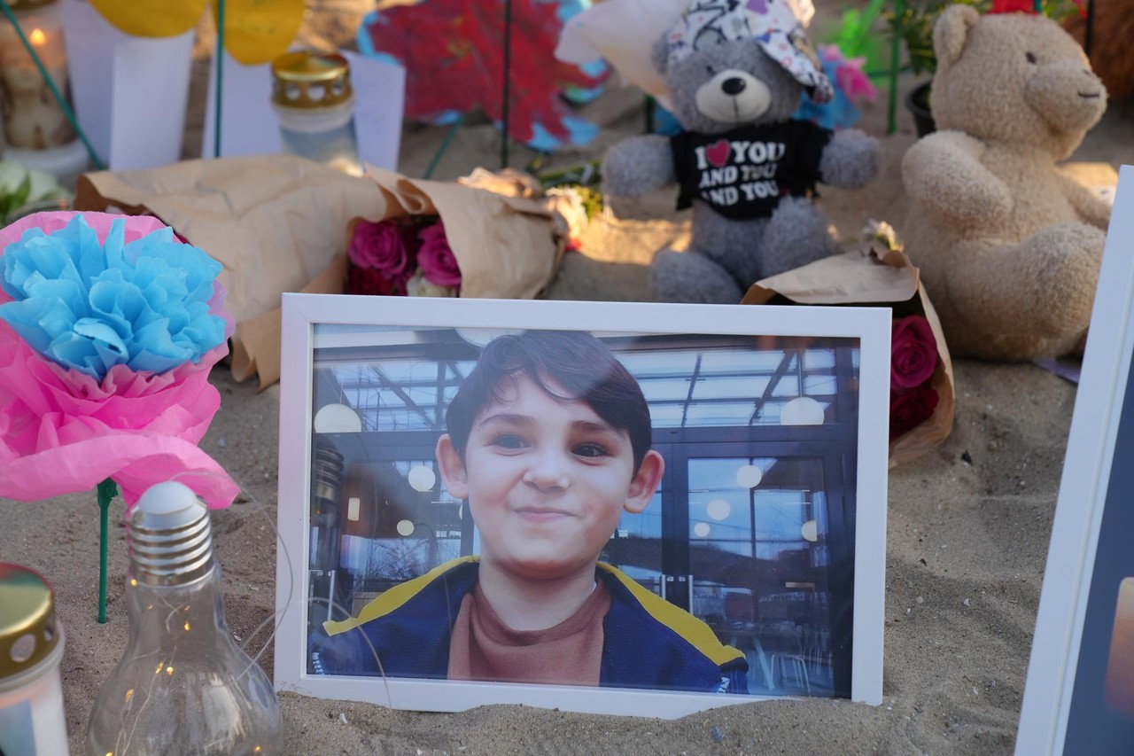 Sister of murdered boy dumped in Ghent harbour placed in juvenile institution