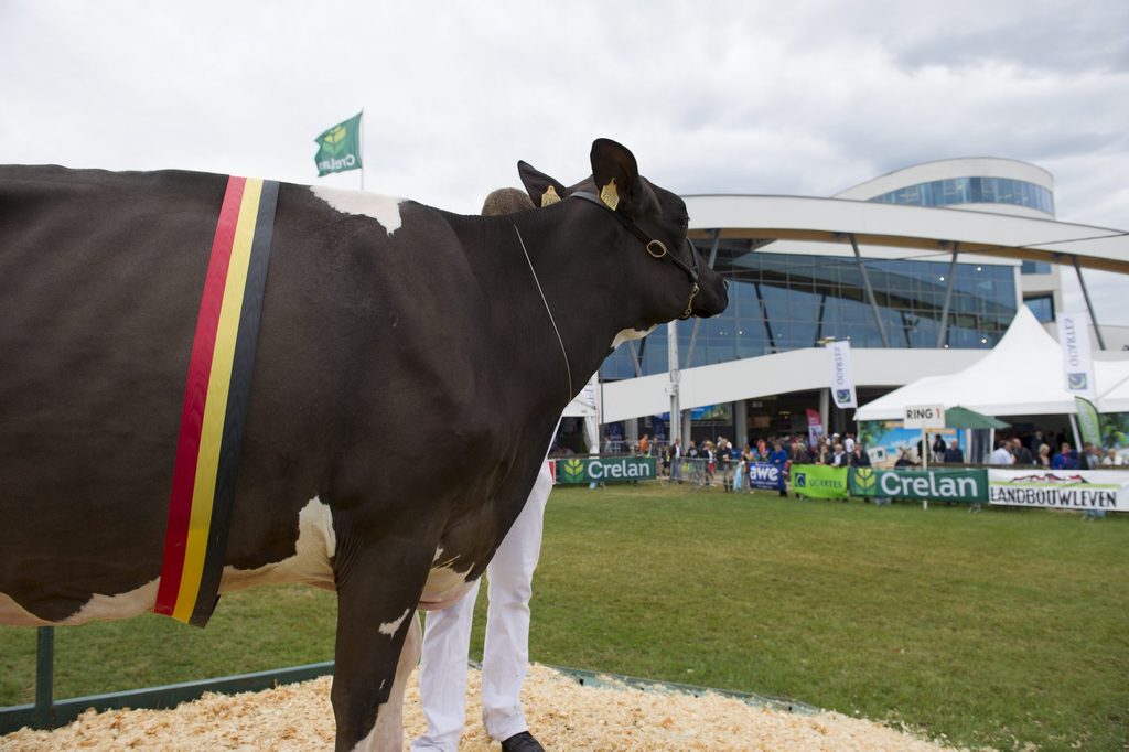 Clouds gather over agricultural sector as Libramont farming festival kicks off