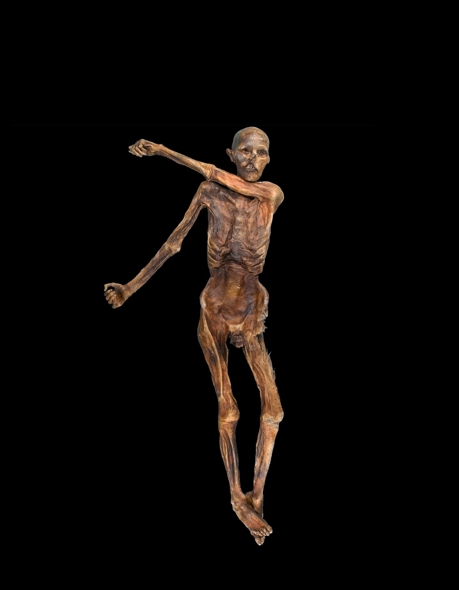 Study reveals how Ötzi the Iceman, Europe's oldest mummy, actually