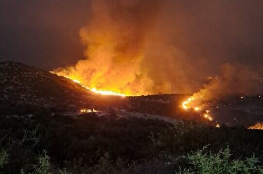 EU and Israel send help to Cyprus to fight wildfires