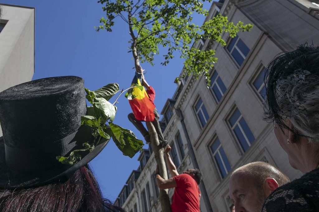 Brussels folklore: The annual planting of the 'Meyboom'