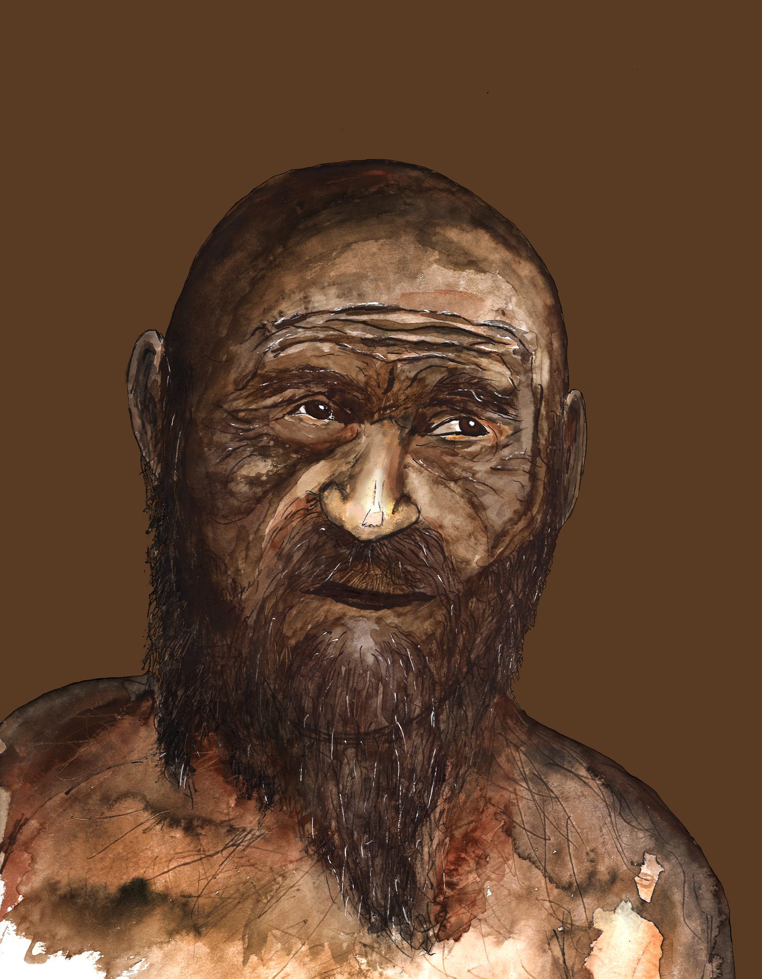 Genetic Analysis of 'Ötzi the Iceman' Reveals Ancient Mummy's Ancestry