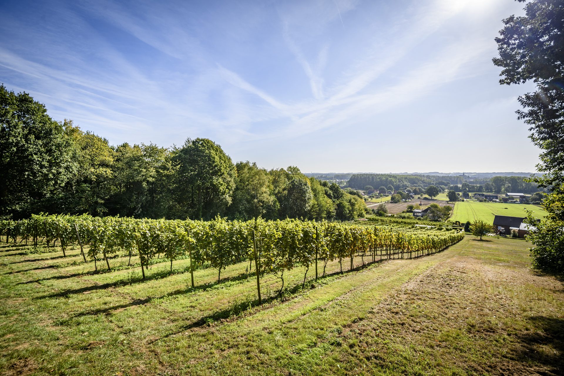 5 walks through Hageland’s vineyards...plus, great places to stay...
