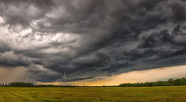 One person killed by violent storms in the Baltic States