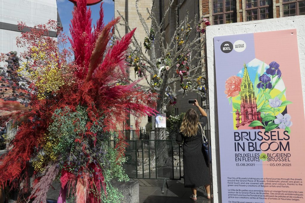 'Brussels in Bloom' flower trail returns to capital's historic centre