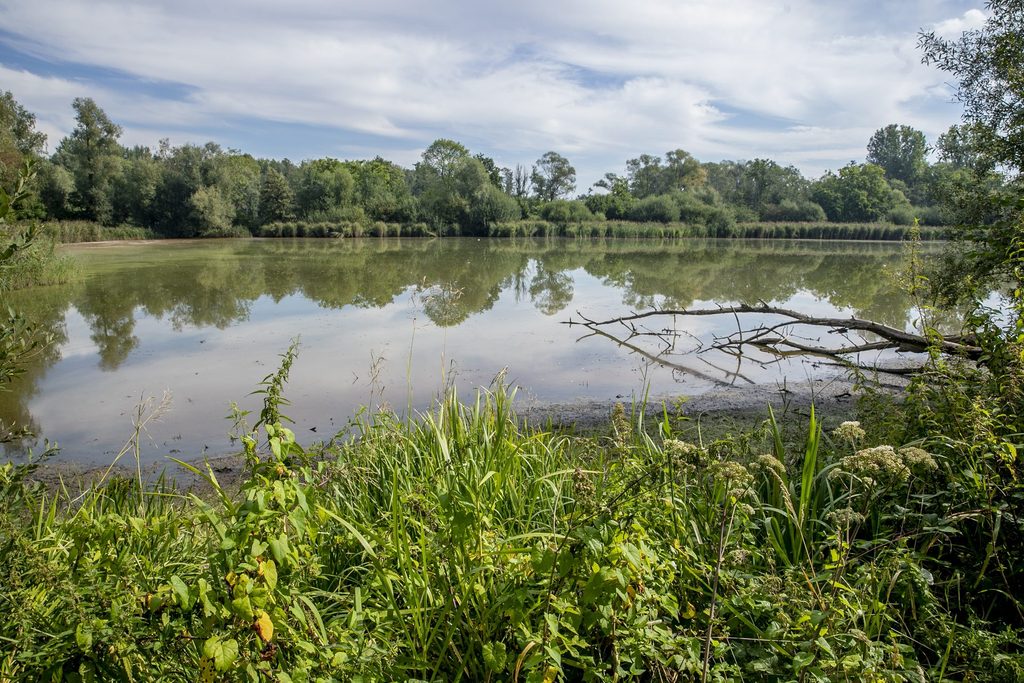 European Commission urges Belgium to improve water quality