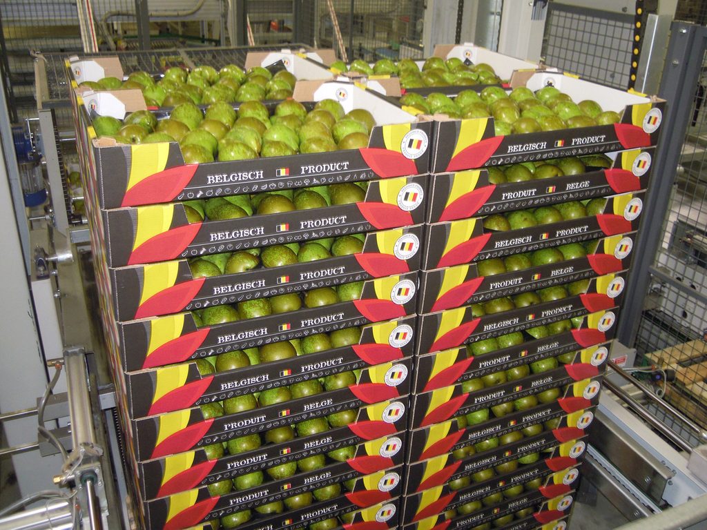 Belgium becomes EU's biggest producer of pears