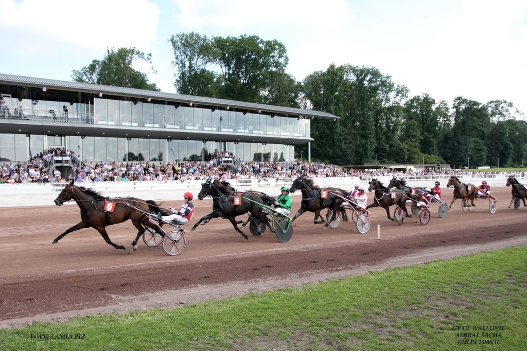 World horse chariot championship held at Mons hippodrome on 16 August