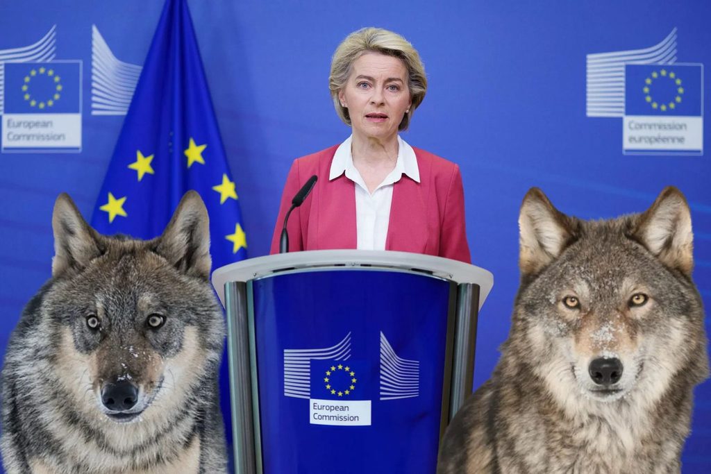 Le Chou: Wolves Added To EU Terrorist List