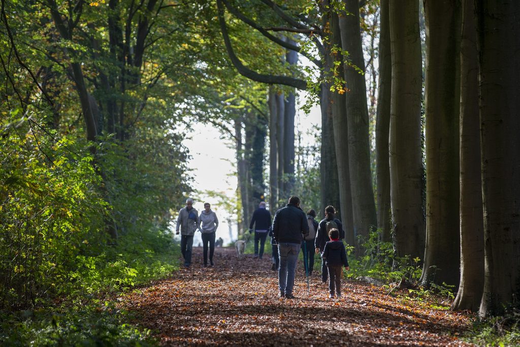 A sunny Sunday across Belgium