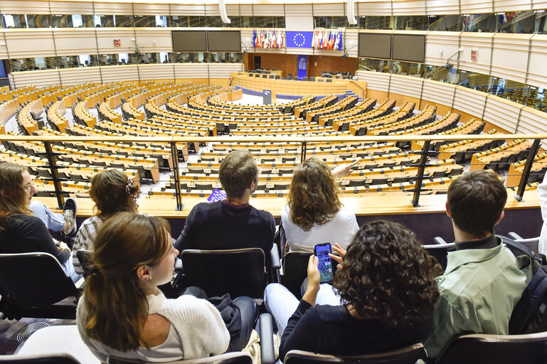 Presentation by Pauline Meij at the European Parliament - reNEW