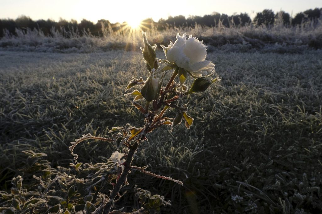 A cold night ahead across Belgium