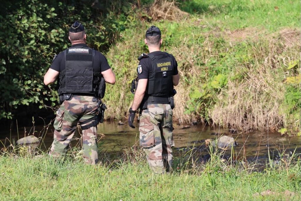 Large-scale coordinated operation underway in France to find missing teenager