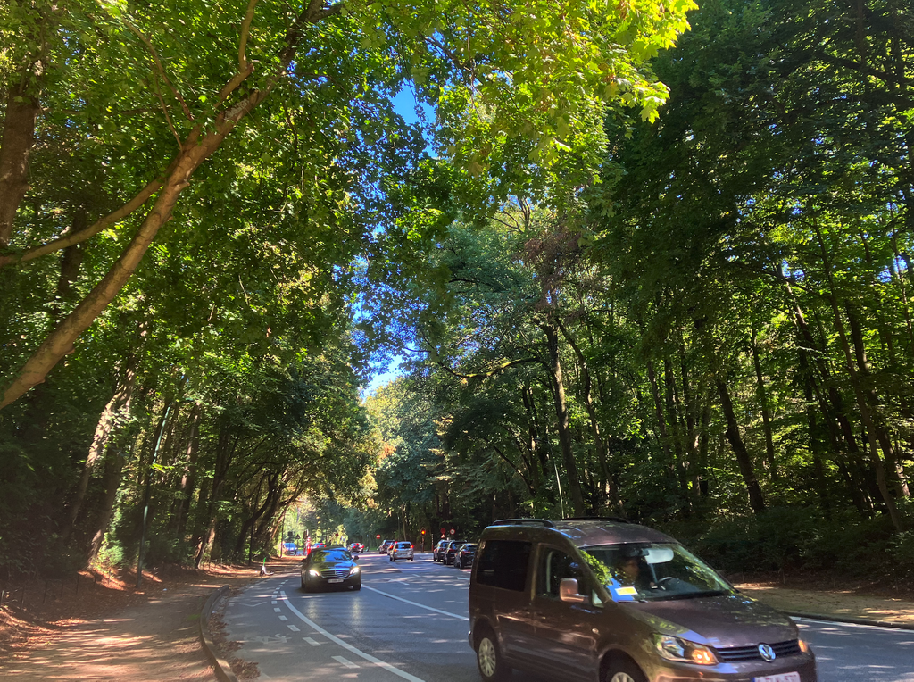 Police investigate attempted rape in Bois de la Cambre