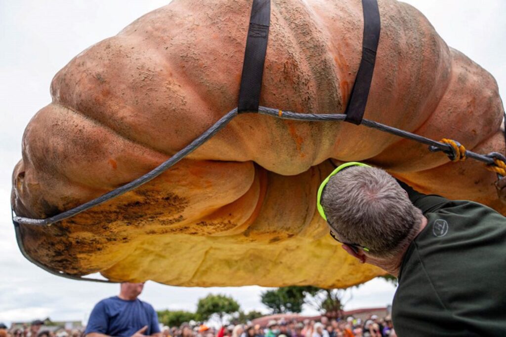 US pumpkin weighing in at over a tonne breaks world record