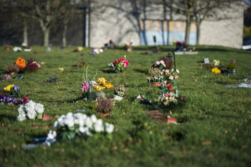 'Aquamation': Flanders to pilot greener alternative to cremation