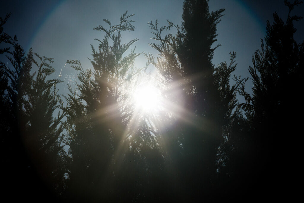 Bright start to Friday, showers might sweep in later