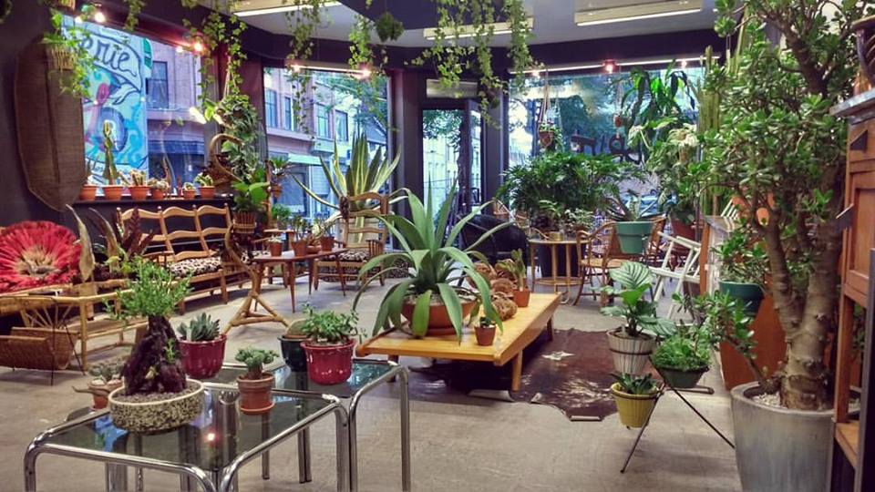 Hidden Belgium: Brut