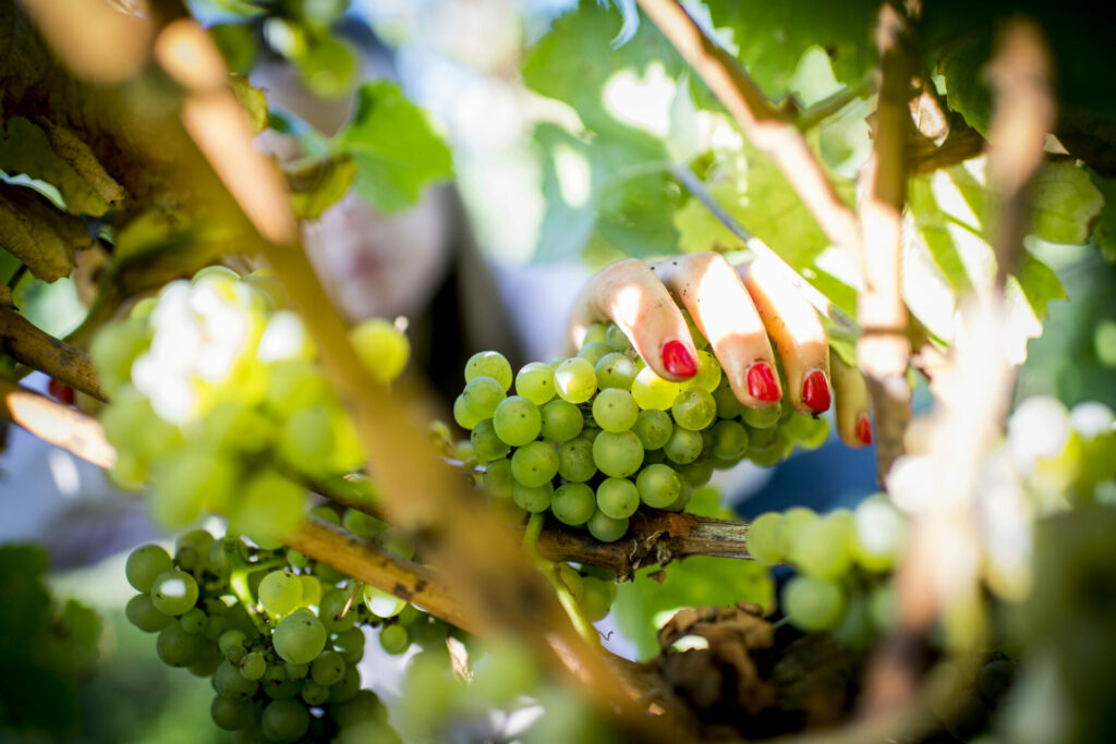 Floreffe Wine Fair cancelled due to bad weather