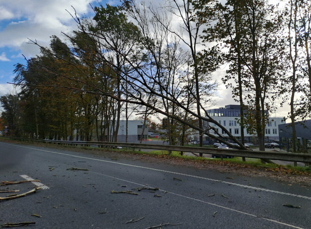 Storm Louis causes wide-spread damage and one death in France