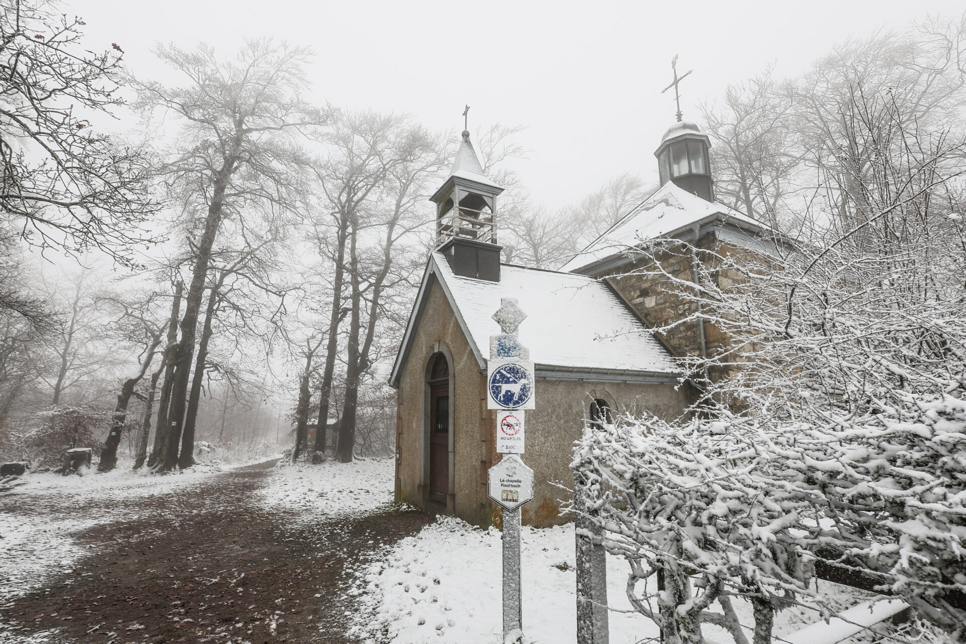 Frosty forecast: Possible snow showers in Brussels this week