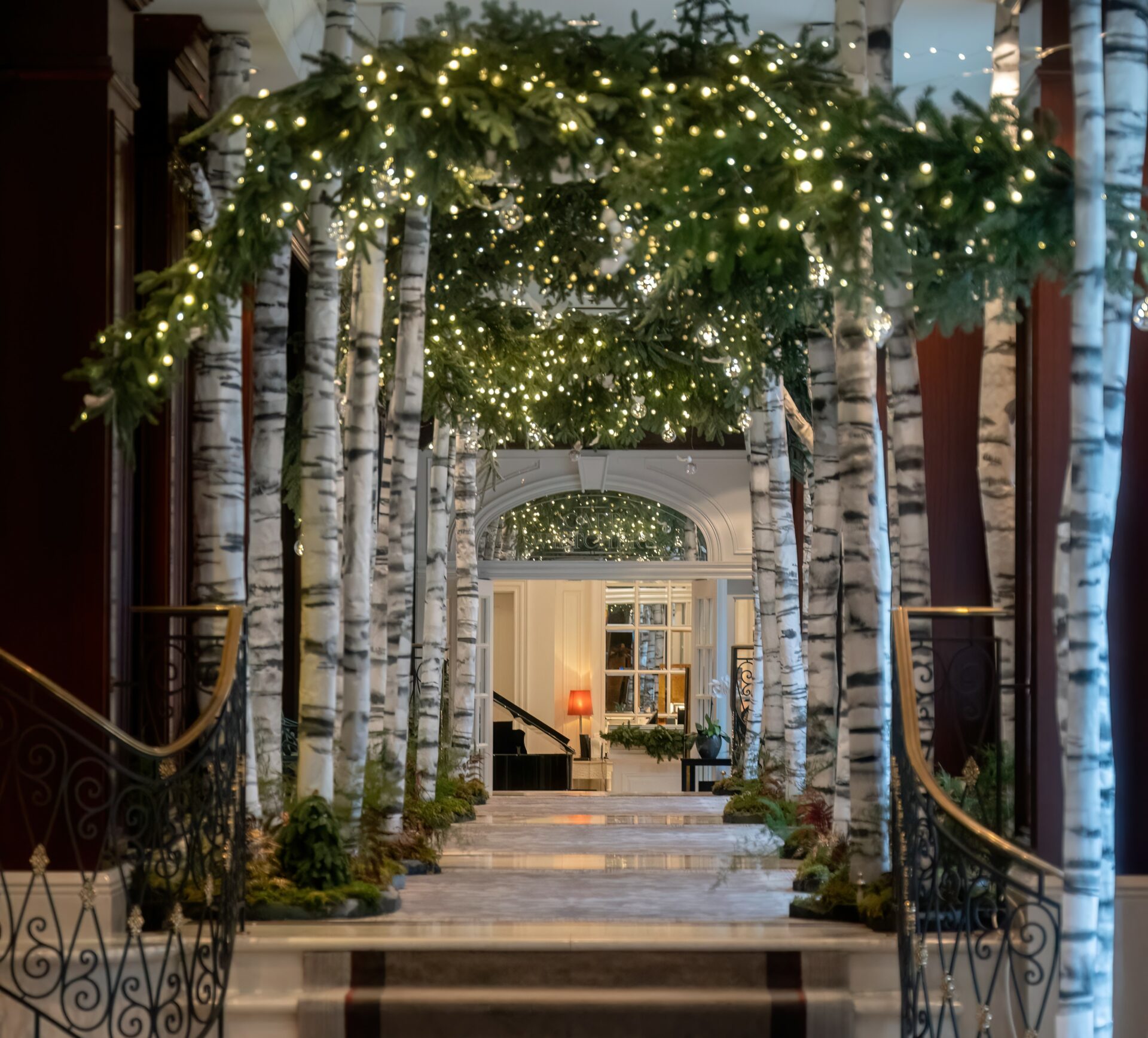 The festive season has started at the Steigenberger Icon Wiltcher’s Hotel