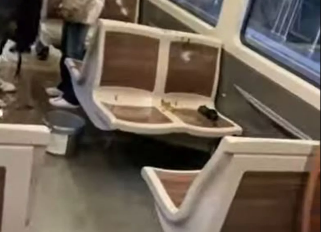 Brussels YouTuber throws bucket of oil, water and dog faeces over metro passenger