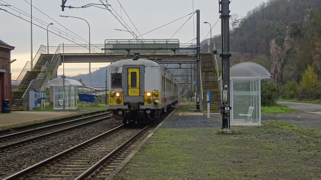 Woman dies trying to save dog that fell onto railway track