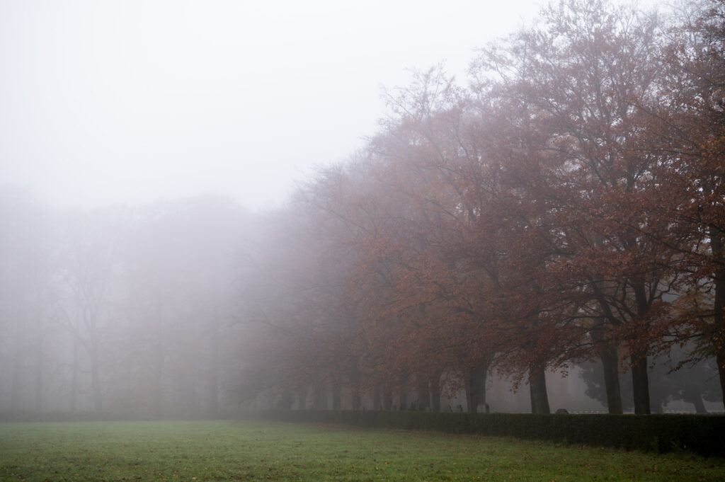 Freezing fog and sub-zero temperatures to start the weekend