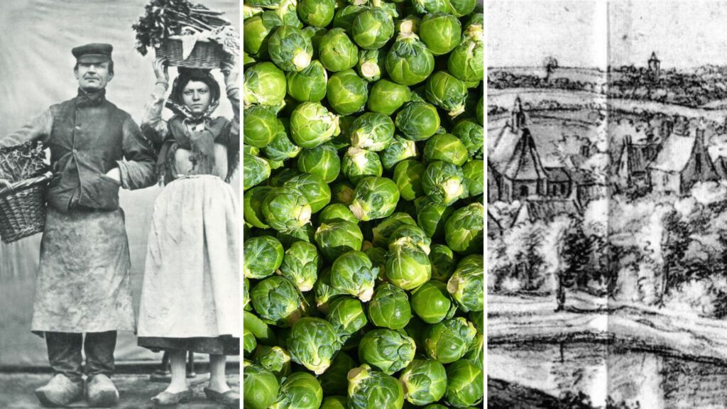 The controversial small green cabbage did not originate from Brussels, but just outside the city walls in the nearby Saint-Gilles. More potatoes? Only