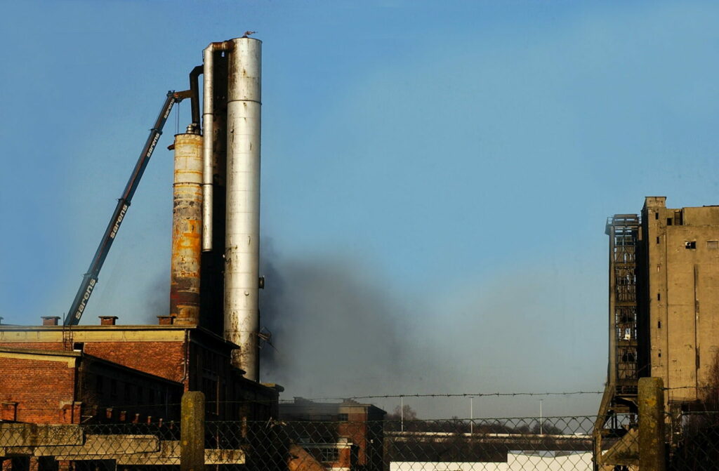 Brussels’ soil is almost completely degraded, report warns – The Brussels Times