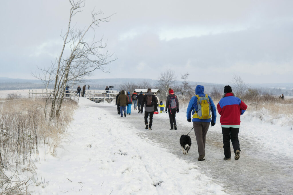 Unprecedented number of walkers and skiers flock to Belgian hills for snow fun