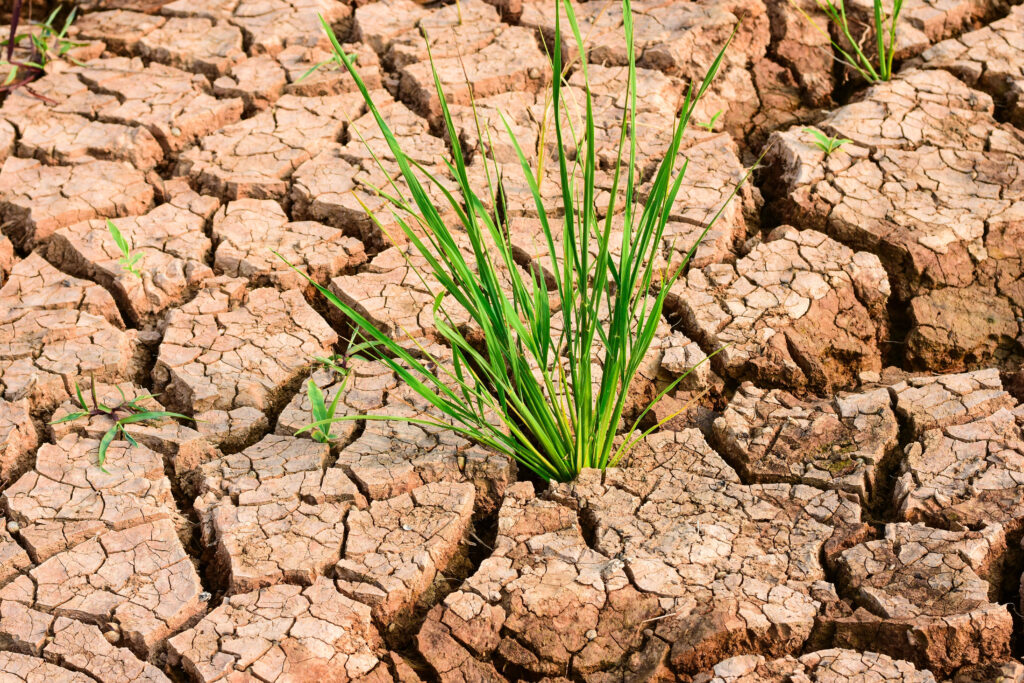 Portugal's government limits water consumption in the south