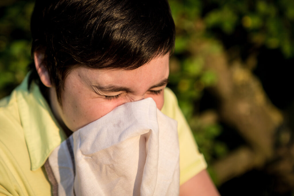 Cold or hay fever? Pollen season in Belgium now underway