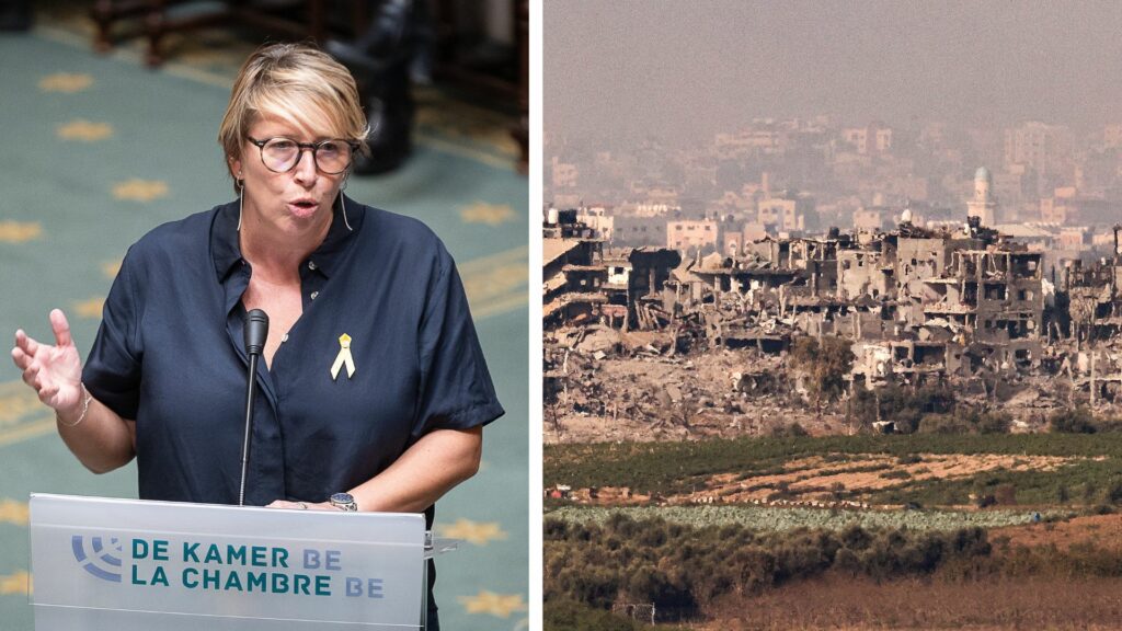 Belgium's Development Minister criticises Germany over pro-Israeli stance