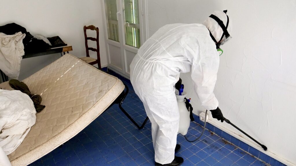 Parisian hotels wage war on bedbugs in run-up to Olympic Games