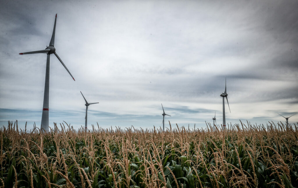Wallonia wind power grew in 2023, but region still lags behind targets