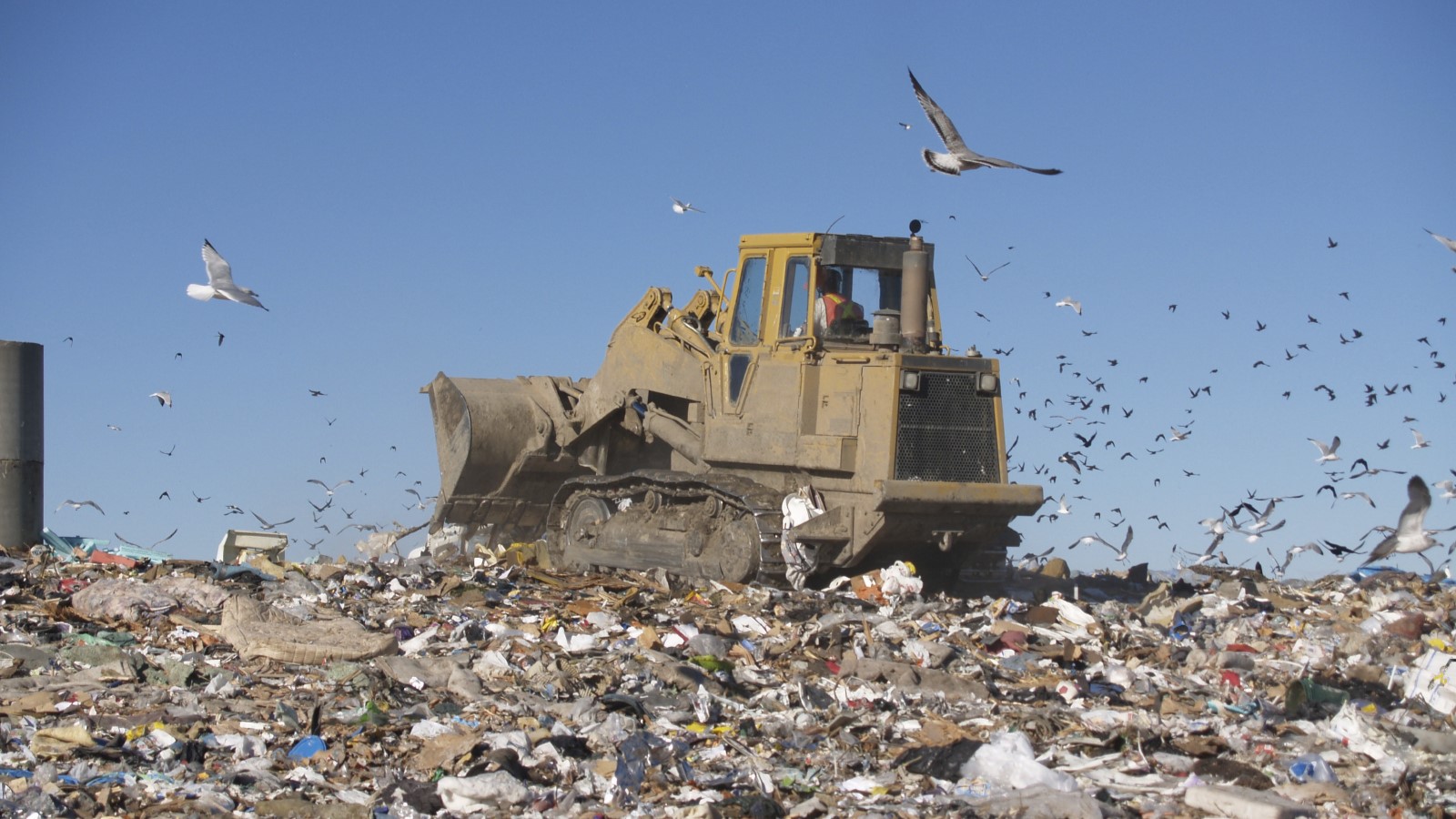 EU green jobs and environmental targets potentially compromised by the PPWR trilogues