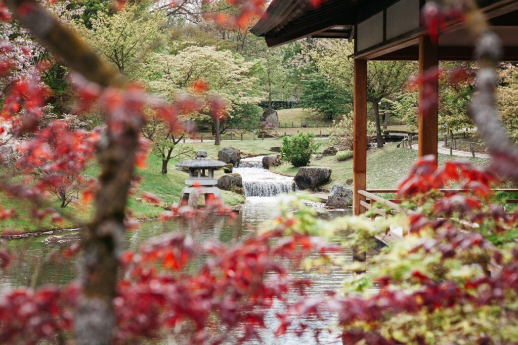 Hidden Belgium: The largest Japanese garden in Europe