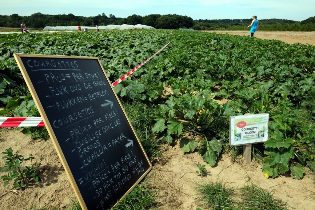 Not so good after all? People who eat more organic food have more toxins in their blood