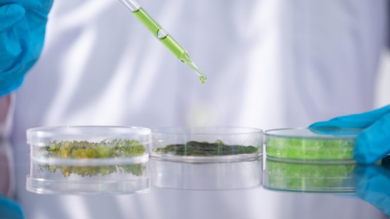 Give biosolutions a sandbox