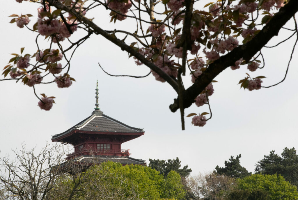 Brussels Japanese Tower and Chinese Pavilion in a state of rapid decay