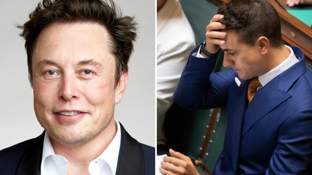 Elon Musk criticised for far-right tweet in support of Van Langenhove