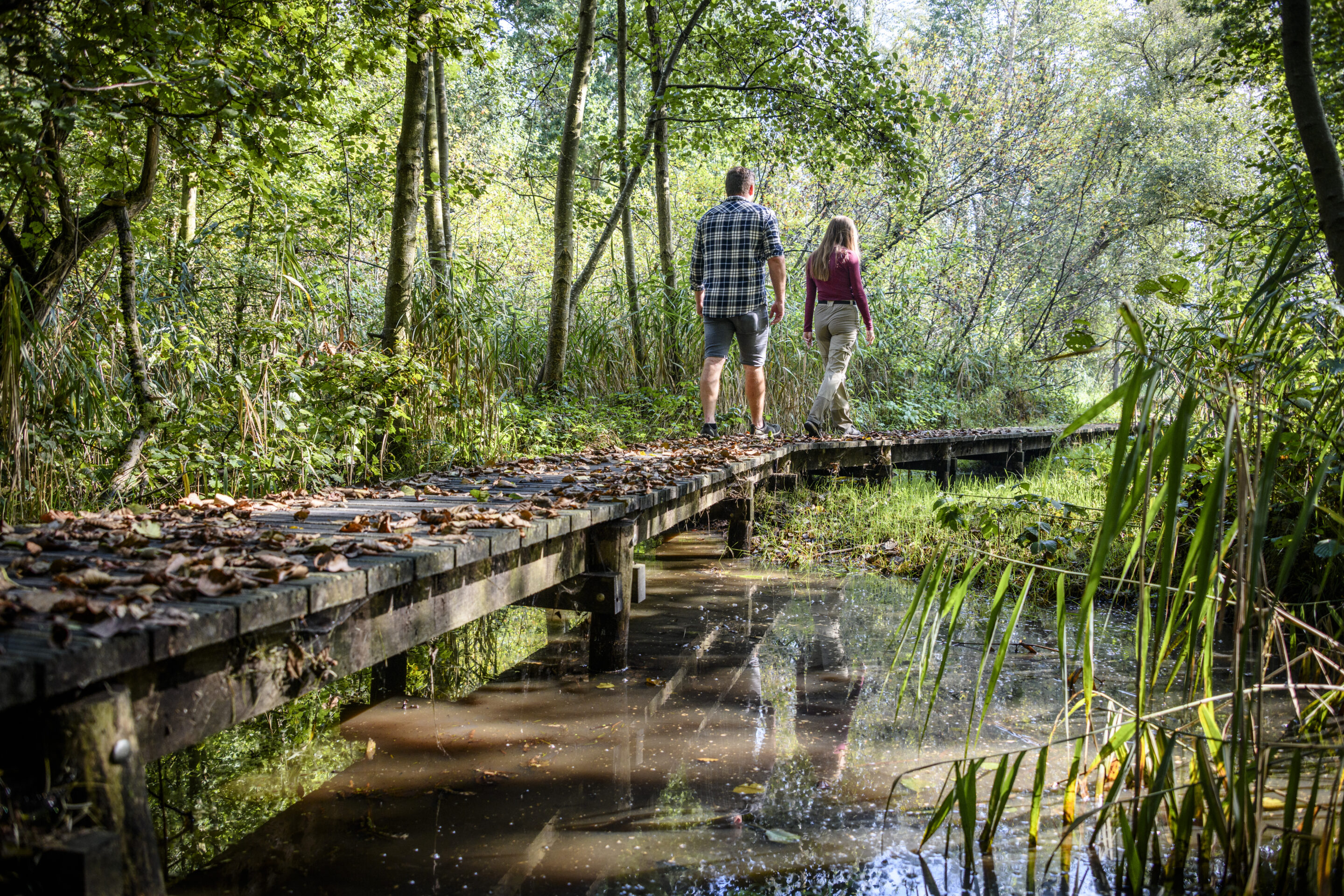 Best foot forward in Flemish Brabant: 12 walks to get to know the region