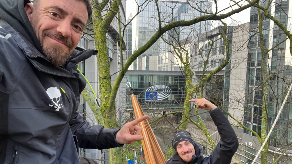 Protesters perch in tree next to European Parliament in Brussels