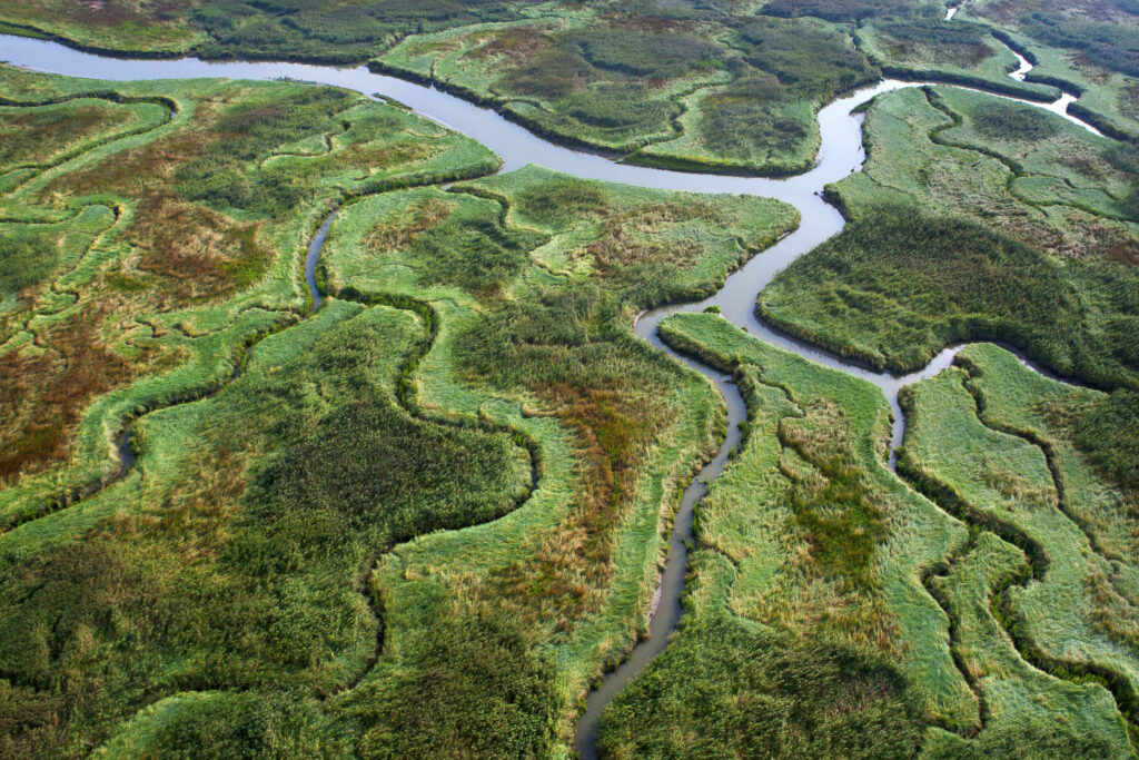 UNESCO recognises Scheldt Delta as 'Global Geopark'