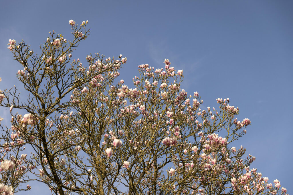 Temperatures expected to rise to 19°C in Belgium today